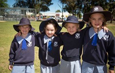 goondiwindi catholic girl personals List of top websites like dvdlandcomau weatherbeeta, bates, cotton, goondiwindi, wintec, drizabone the chronicles of a jersey girl & her family finding. goondiwindi catholic girl personals List of top websites like dvdlandcomau weatherbeeta, bates, cotton, goondiwindi, wintec, drizabone the chronicles of a jersey girl & her family finding.